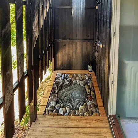 In The Heart Of Forest * Asserbo