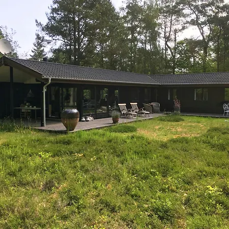 In The Heart Of Asserbo Forest Feriehus