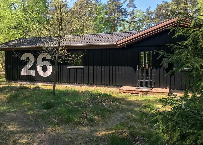 In The Heart Of Asserbo Forest